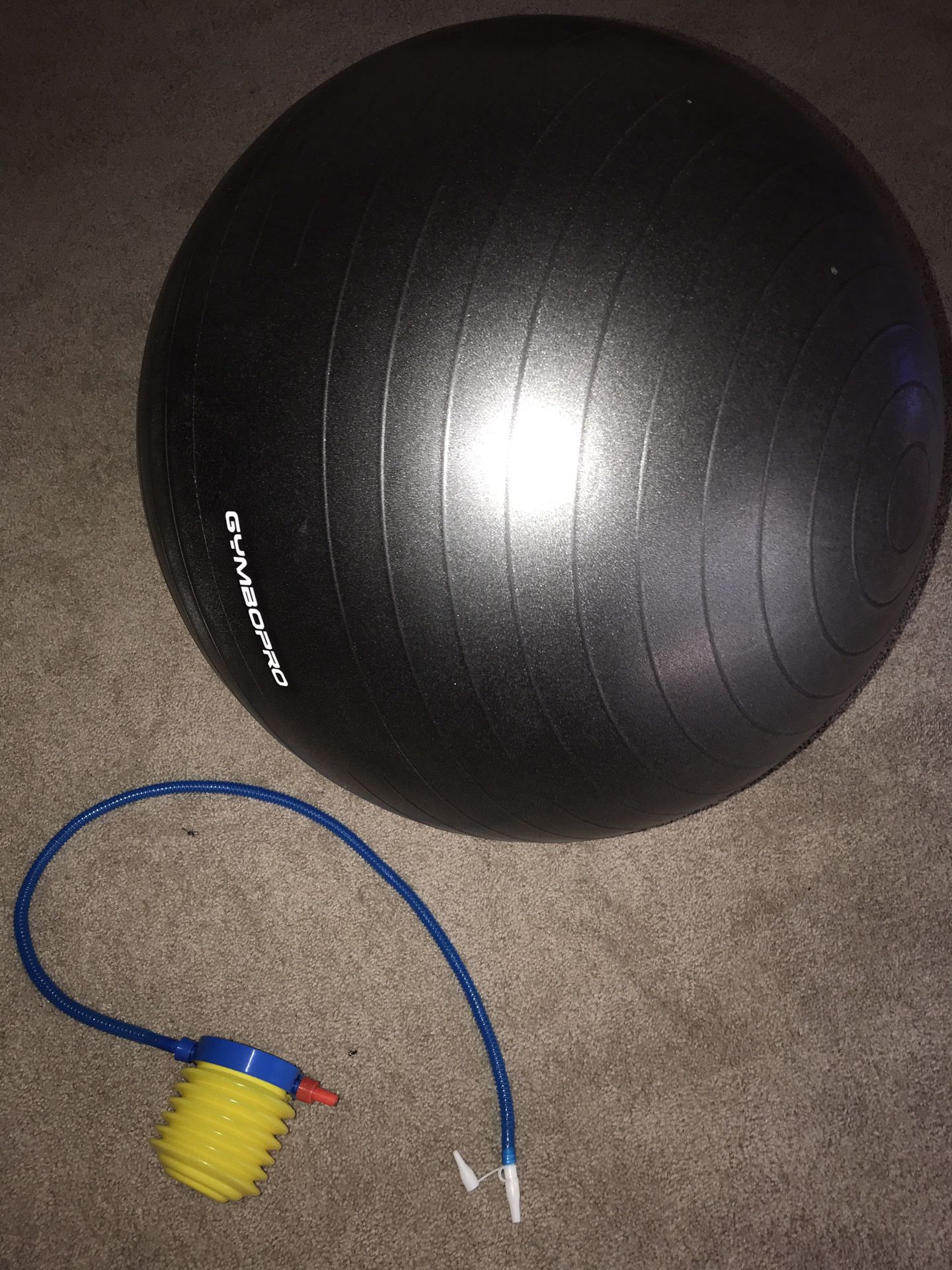 Birthing/ Yoga Ball w/ Pump