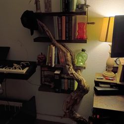 Adorned Relic Shelf – Sculptural Installation with Found Objects