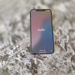 iPhone 12 Pro Max -- 256GB -- Unlocked