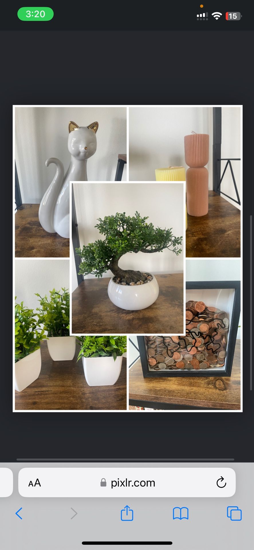 Home Decor Items: Plants, Candle, Cat Statue