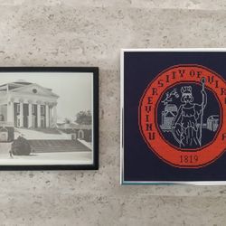 UVA framed art 