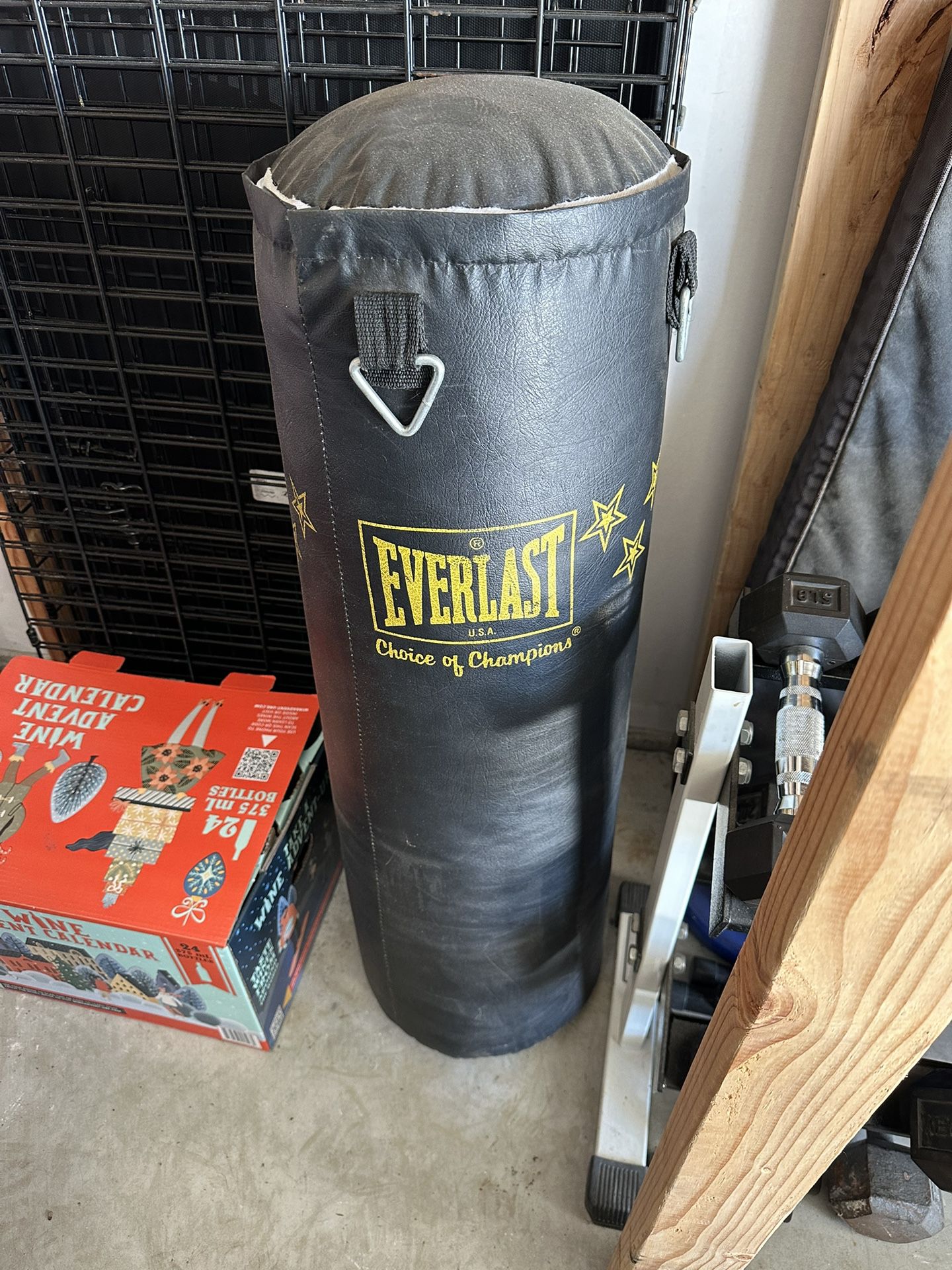 Everlast 80lbs Punching Bag 