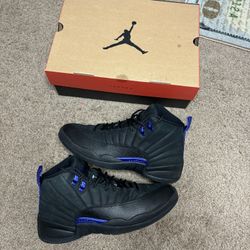 Jordan 12 Concord - Size 12