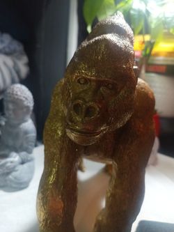 Gorilla