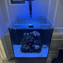 40 Gallon Aquarium 