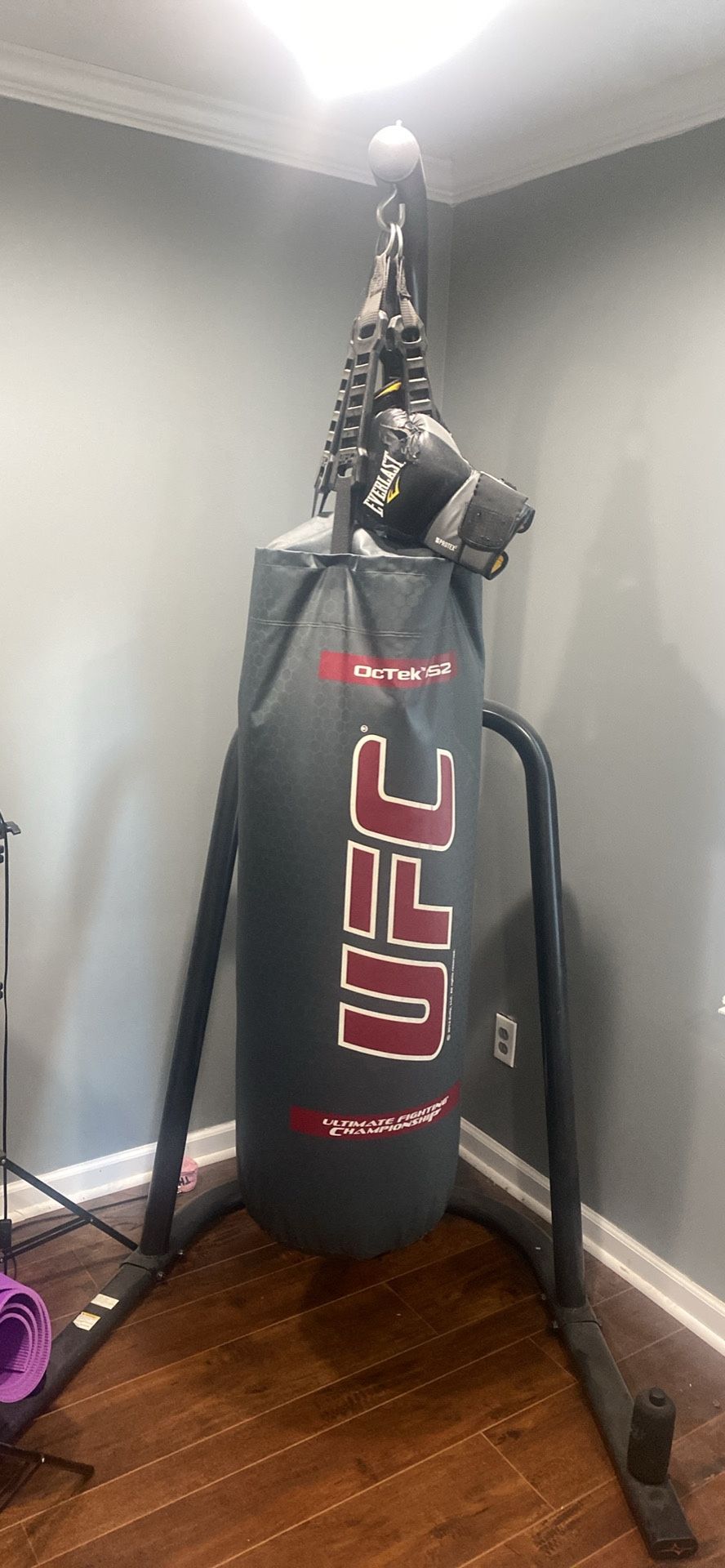 UFC Punching Bag