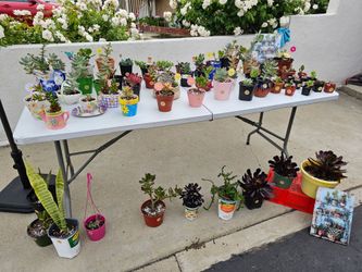 Plant sale