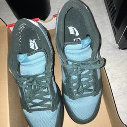 Nike Dunk Size 12