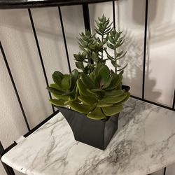 Life Like Succulent Potted Plant