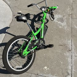Co-Pilot Kids Trailer Bike