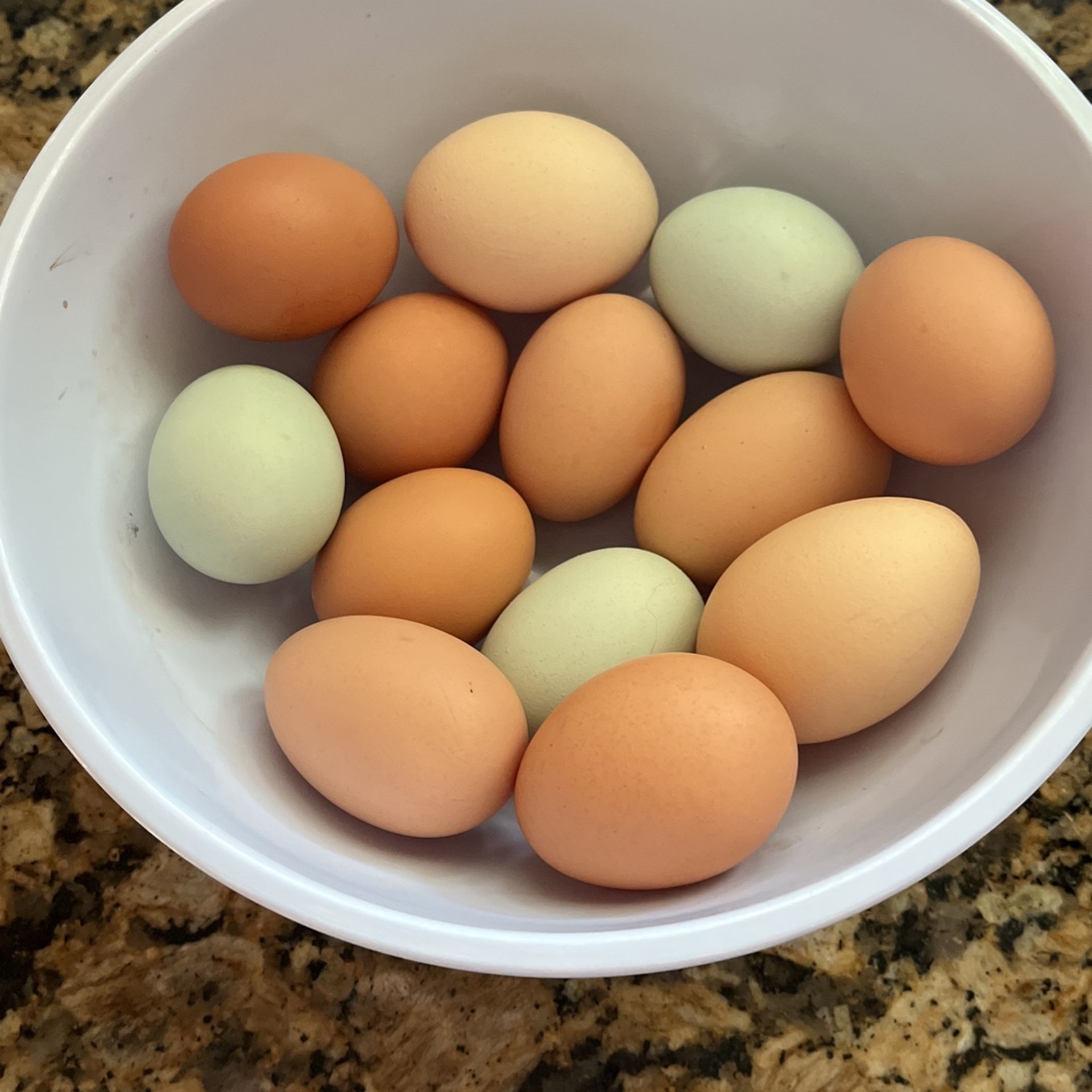 Eggs