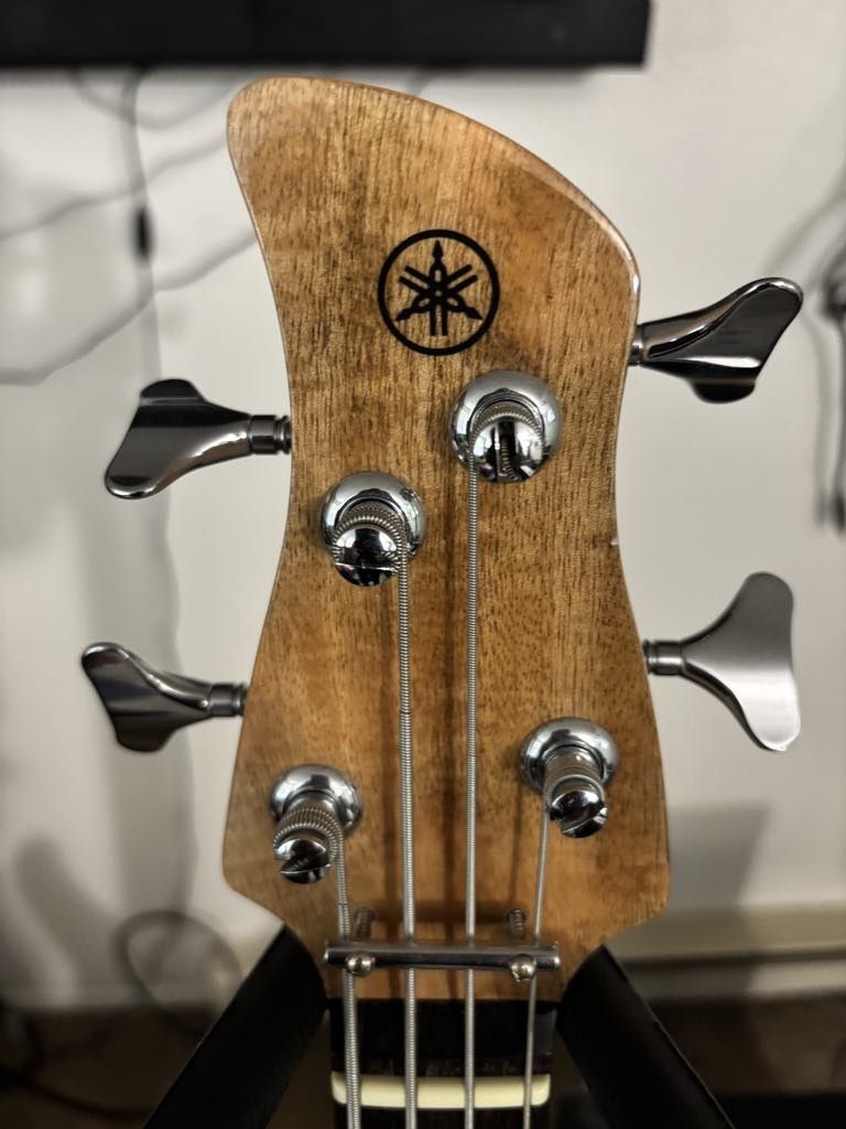 Musical Instruments