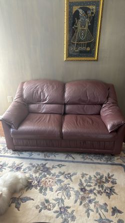 Two Modern Couches (Offer Price)