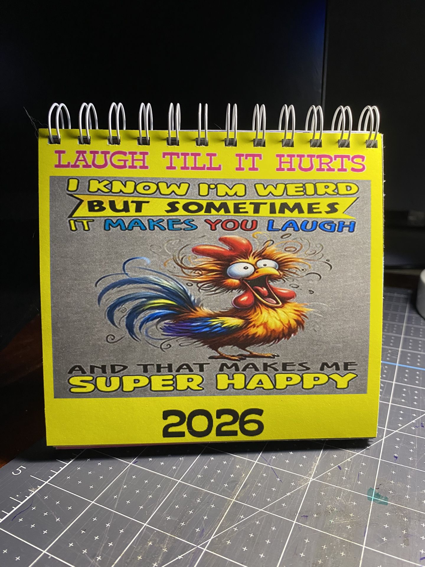 Flip N Fun 2026 Calendar