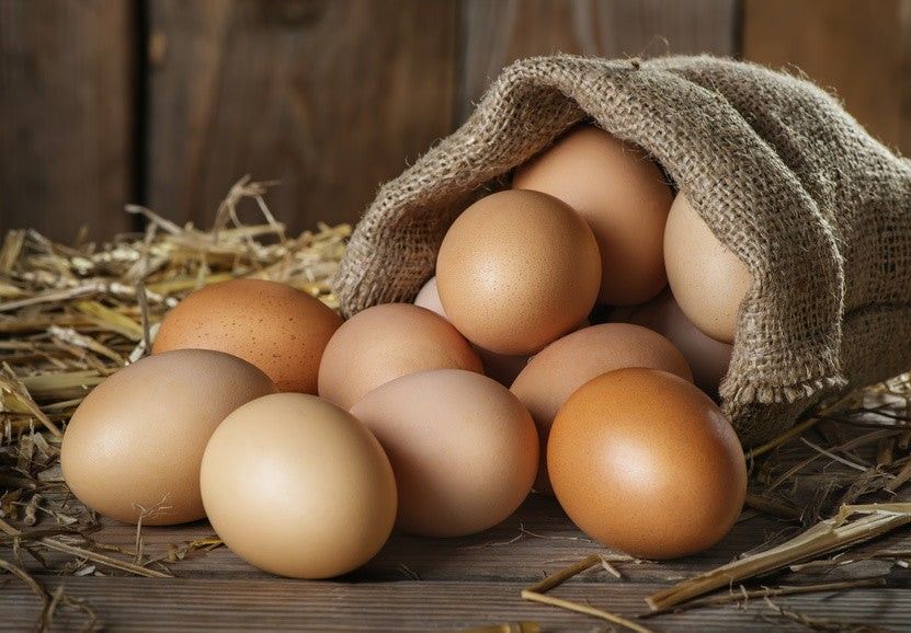 Chicken Eggs