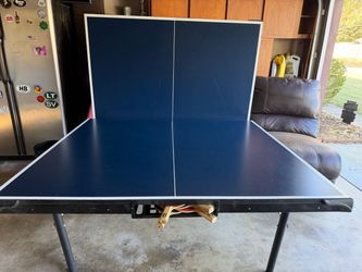 Prince Pong Folding Ping-Pong Table – $175 OBO
