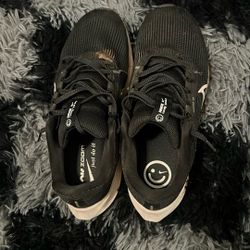Nike Pegasus