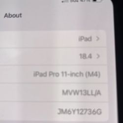 Apple iPad 11 Pro M4 256GB 