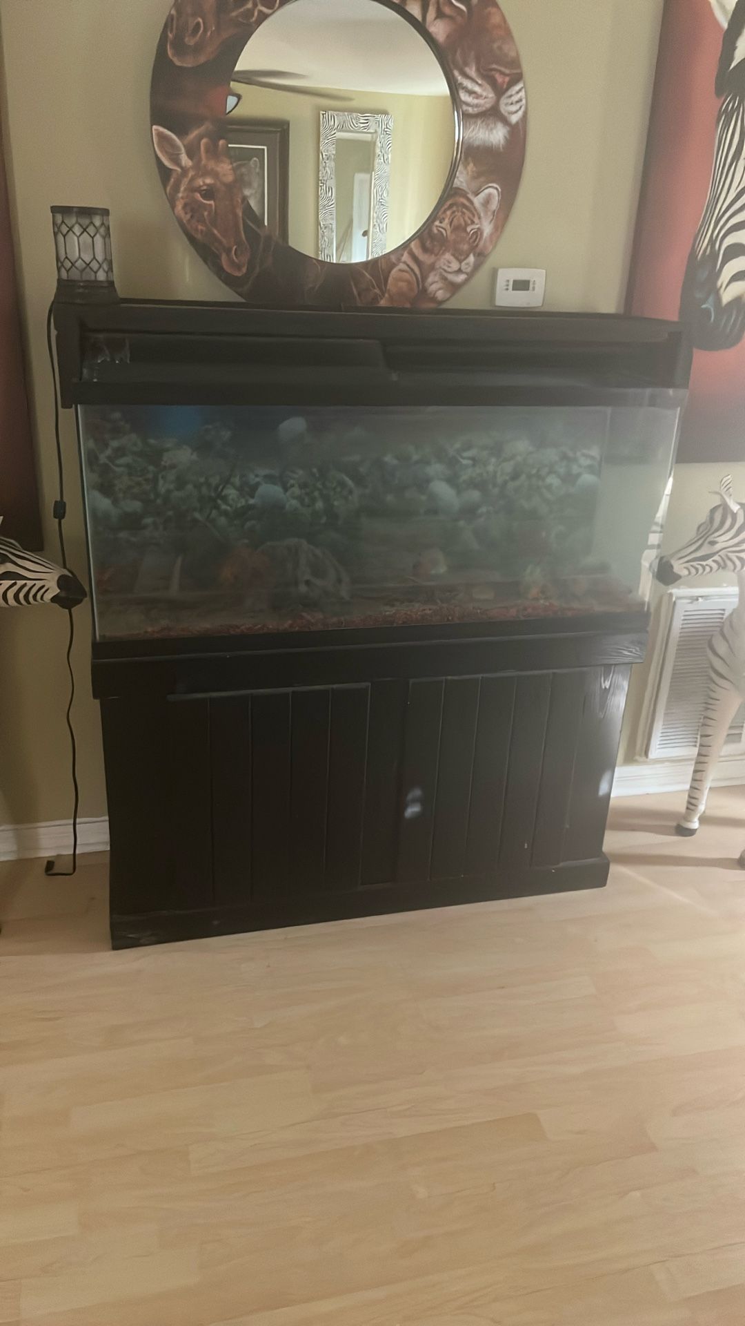 55gallon