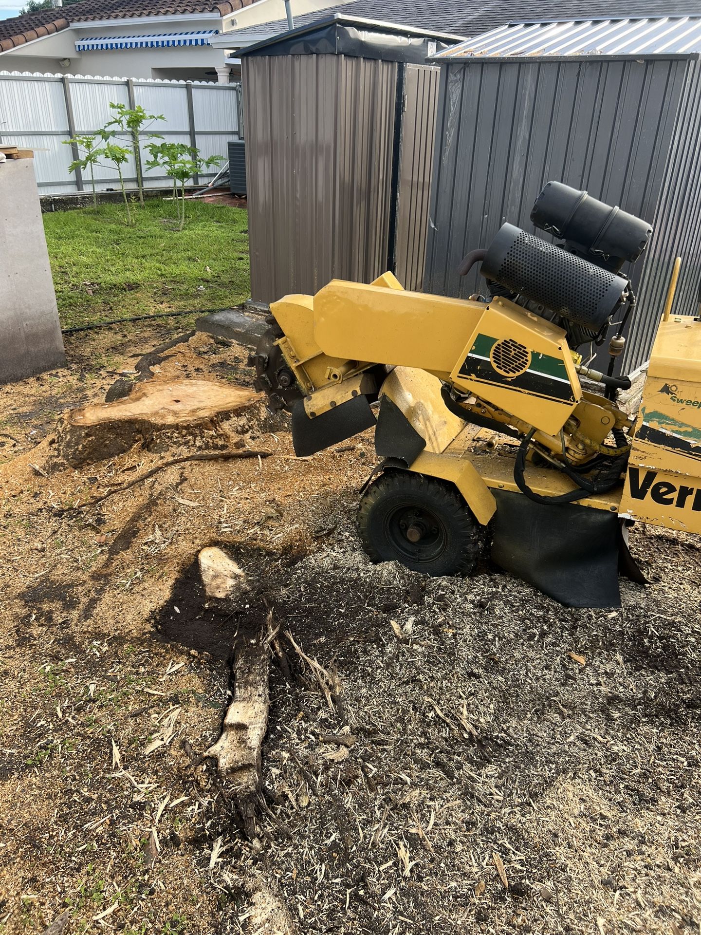 stump grinding