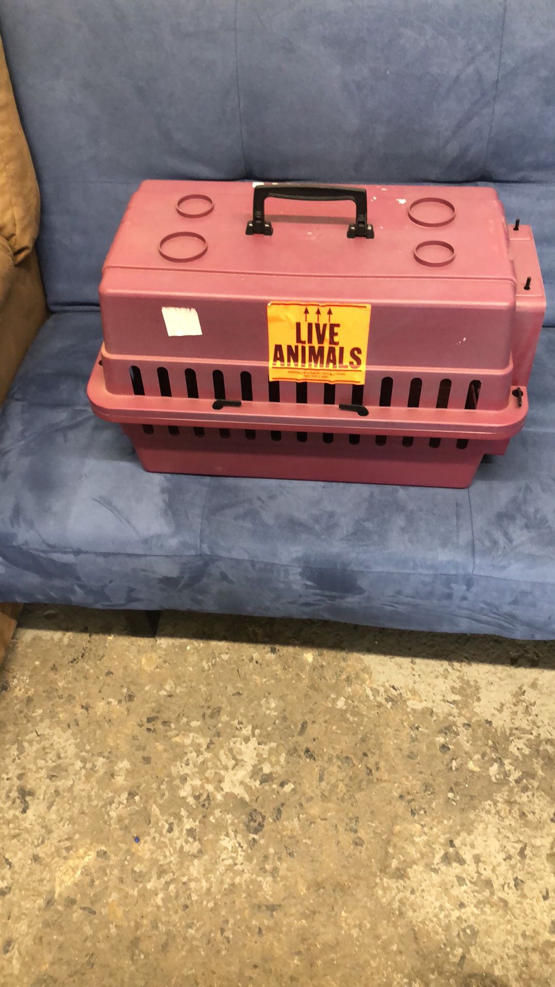 Cat carrier