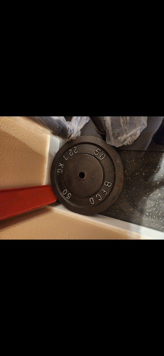 BFCO 50s Standard Gym Weights $100 Pair