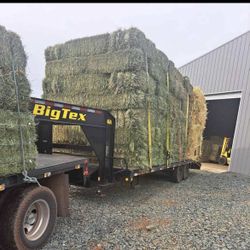 Hay For Sale 