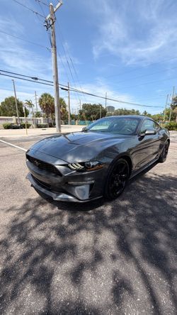 2019 Ford Mustang
