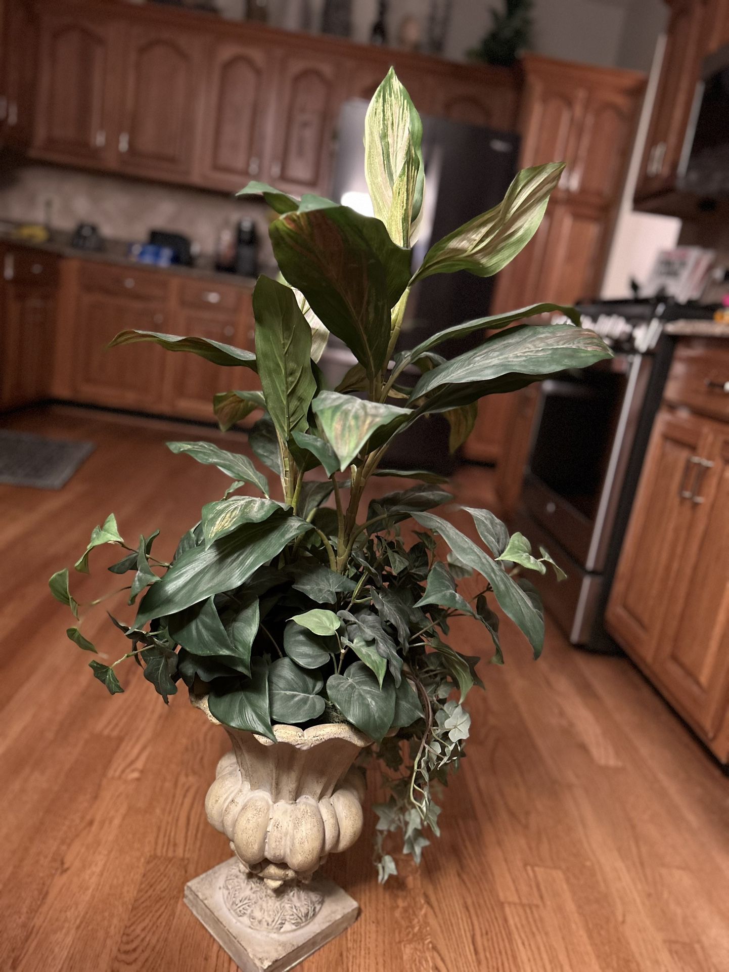 Cute Floor Plant