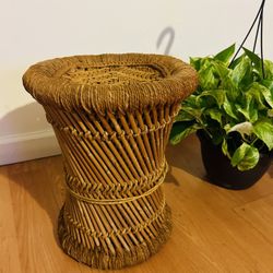 Wicker Stan Plant 
