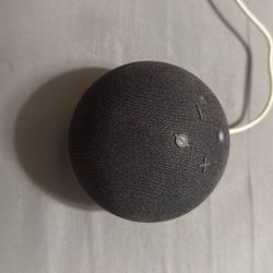 Amazon Echo Dot