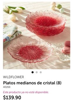 Set de 8 platos wildflower Nuevos en caja de princess house