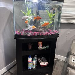 beautiful 36 gal fish tank with stand 
