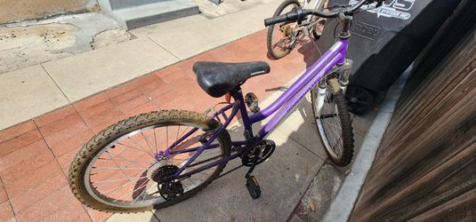Roadmaster Granite Peak Bike