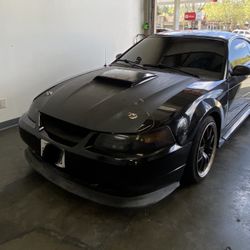 Mustang Gt