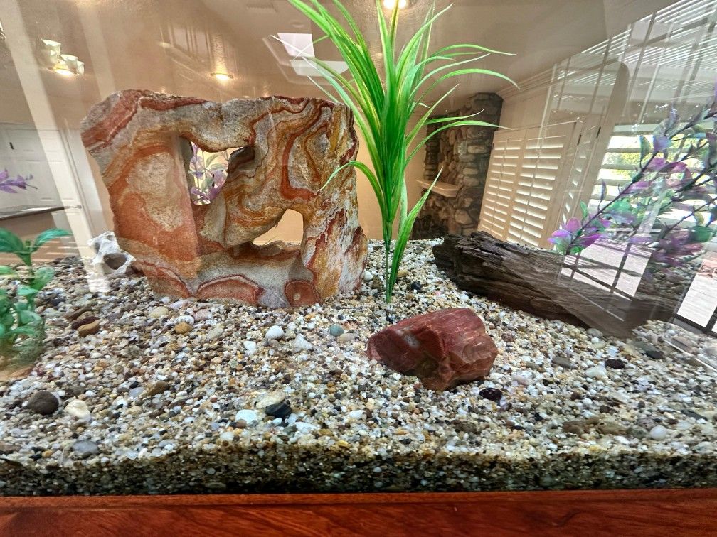 124 GALLON Fish TANK WITH ALL PARTS AND FIAH