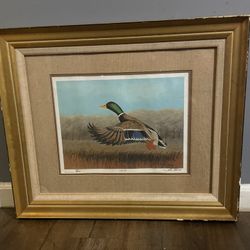 John Helms 9/200 Titled Take-Off Duck