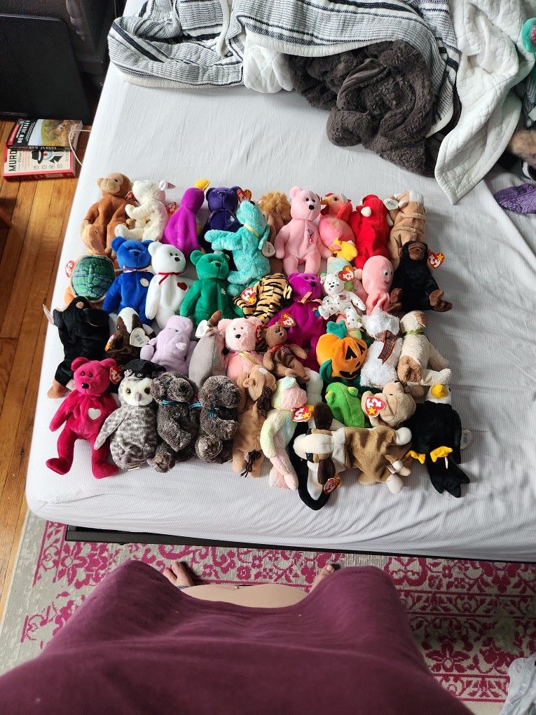 Beanie Babies (Will Take Best Offer)