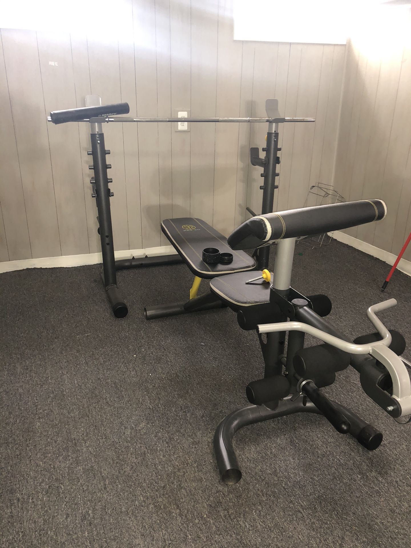Gold’s Gym squat rack with bench and preacher curl with weights