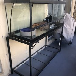 40 Gallon Long Terrarium 