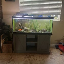 75 Gallon Fish Tank 