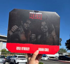 AEW/Ring of Honor Adam Cole & Kyle O'Reilly 6" Jazwares wrestling figures, NEW!