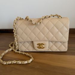 Mini Classic Chanel Flap Bag