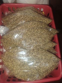 Hemp seeds
