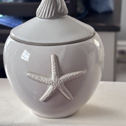 Starfish Collectors 