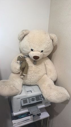 teddy bear