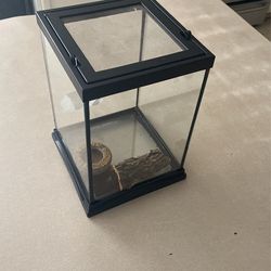 Habitat Terrarium