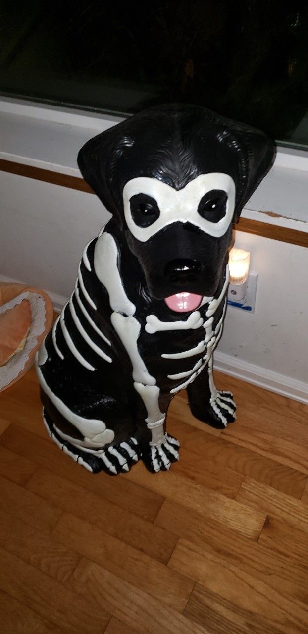 HALLOWEEN DECORATION  Skeleton LAB Glow-in-Dark