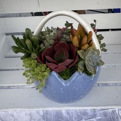 Easter Basket Succulent Arrangement