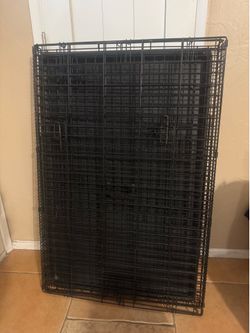 2 XL dog crates